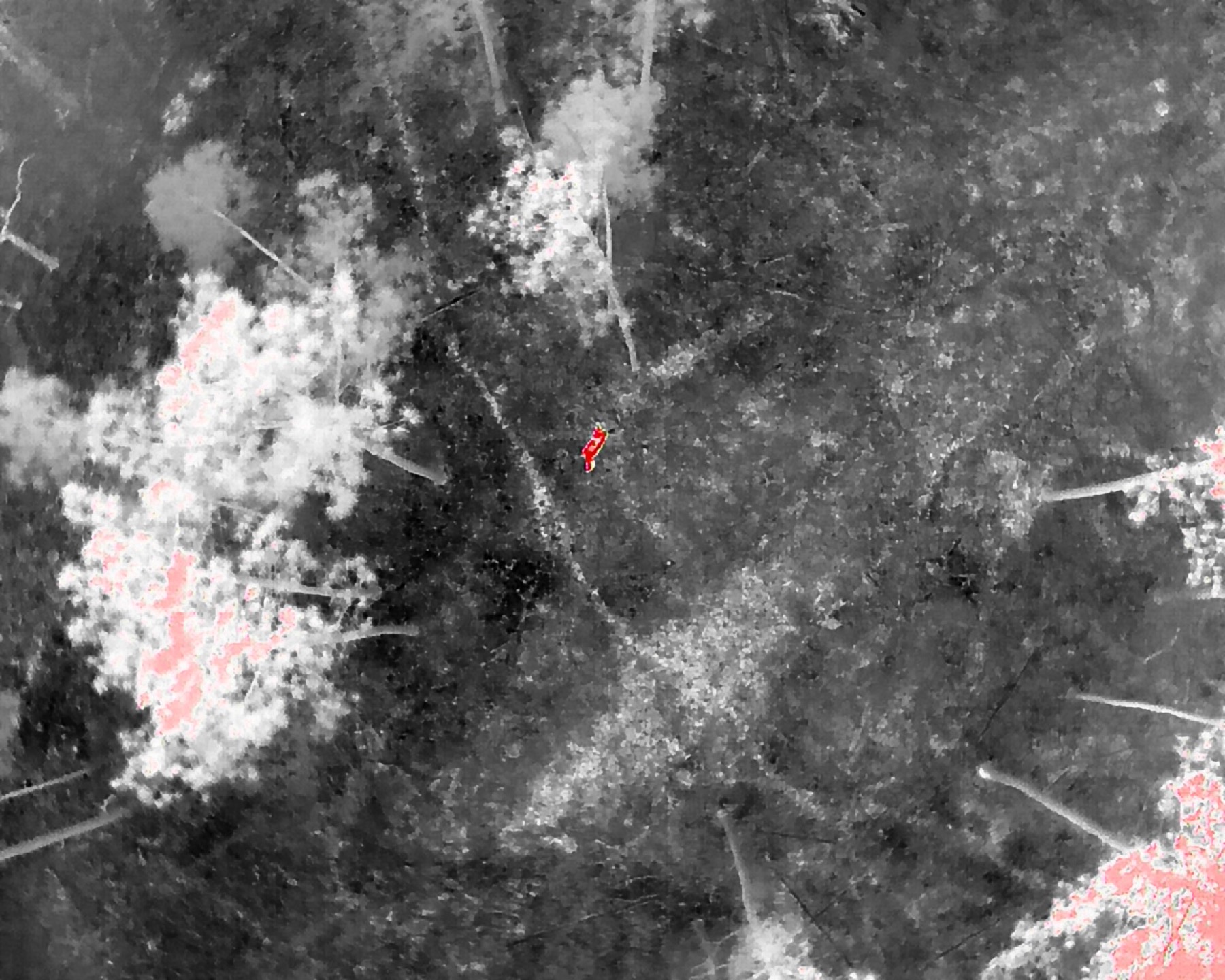 Elevated Ag thermal deer recovery support in wooded Alabama terrain